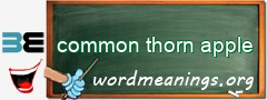 WordMeaning blackboard for common thorn apple